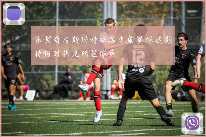 东契奇与斯玛特缺席季前赛球迷期待何时再见明星球员