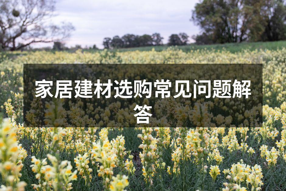多样化的家居建材选择